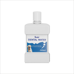 Dental Water 300ml